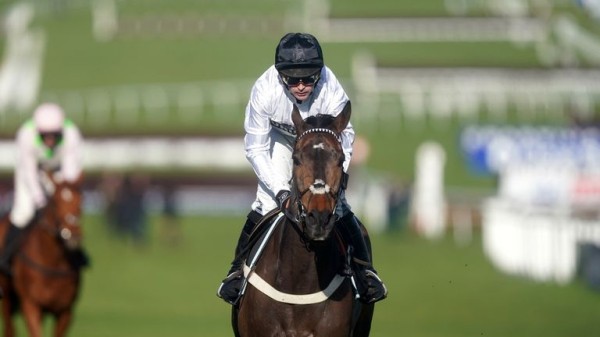 Constitution Hill: Nicky Henderson confirms Champion Hurdle hero to remain over smaller obstacles