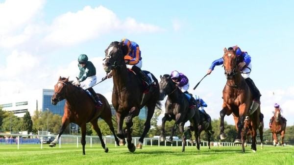 Irish Champion Stakes: Auguste Rodin holds off Luxembourg and Nashwa to land Leopardstown Group One