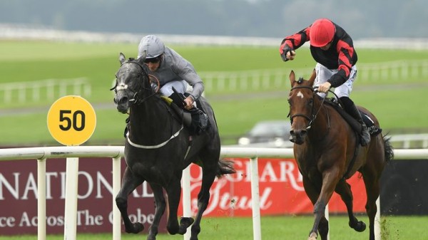National Stakes: Henry Longfellow wins to hand Aidan O'Brien 4,000th success after City Of Troy withdrawn National Stakes: Henry Longfellow wins to hand Aidan O'Brien 4,000th success after City Of Troy withdrawn