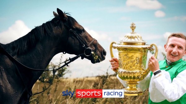 Pyledriver: King George winner retired after injury setback for William Muir team Pyledriver: King George winner retired after injury setback for William Muir team