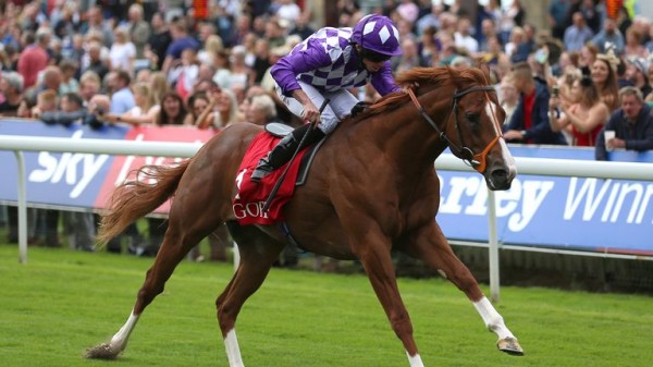 Racing League: Matt Chapman considering double joker for London & The South at Wolverhampton on round five