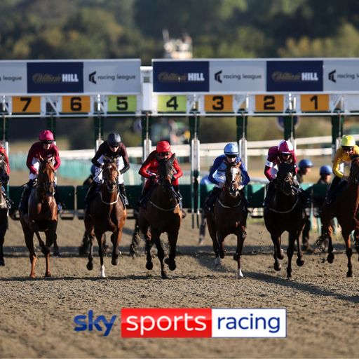 Racing League: Matt Chapman considering double joker for London & The South at Wolverhampton on round five