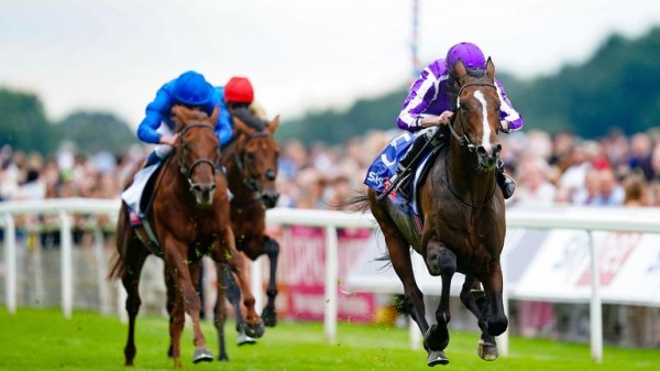 St Leger: The ultimate runner guide and big race verdict for Saturday's Doncaster Classic!