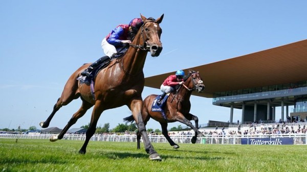 Weekend Winners: Bay Bridge no longshot in next month&rsquo;s Arc says Declan Rix! 